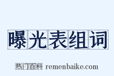 曝光表组词是什么意思的图片